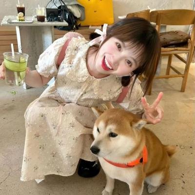 怪物少女妮莫娜 海报